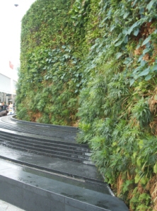 Westfield green wall showing curve