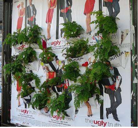 Wall planter on poster