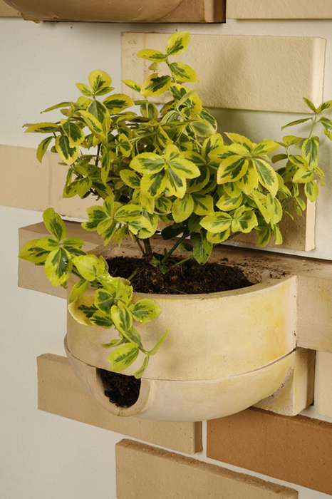 Wall planter detail with plant